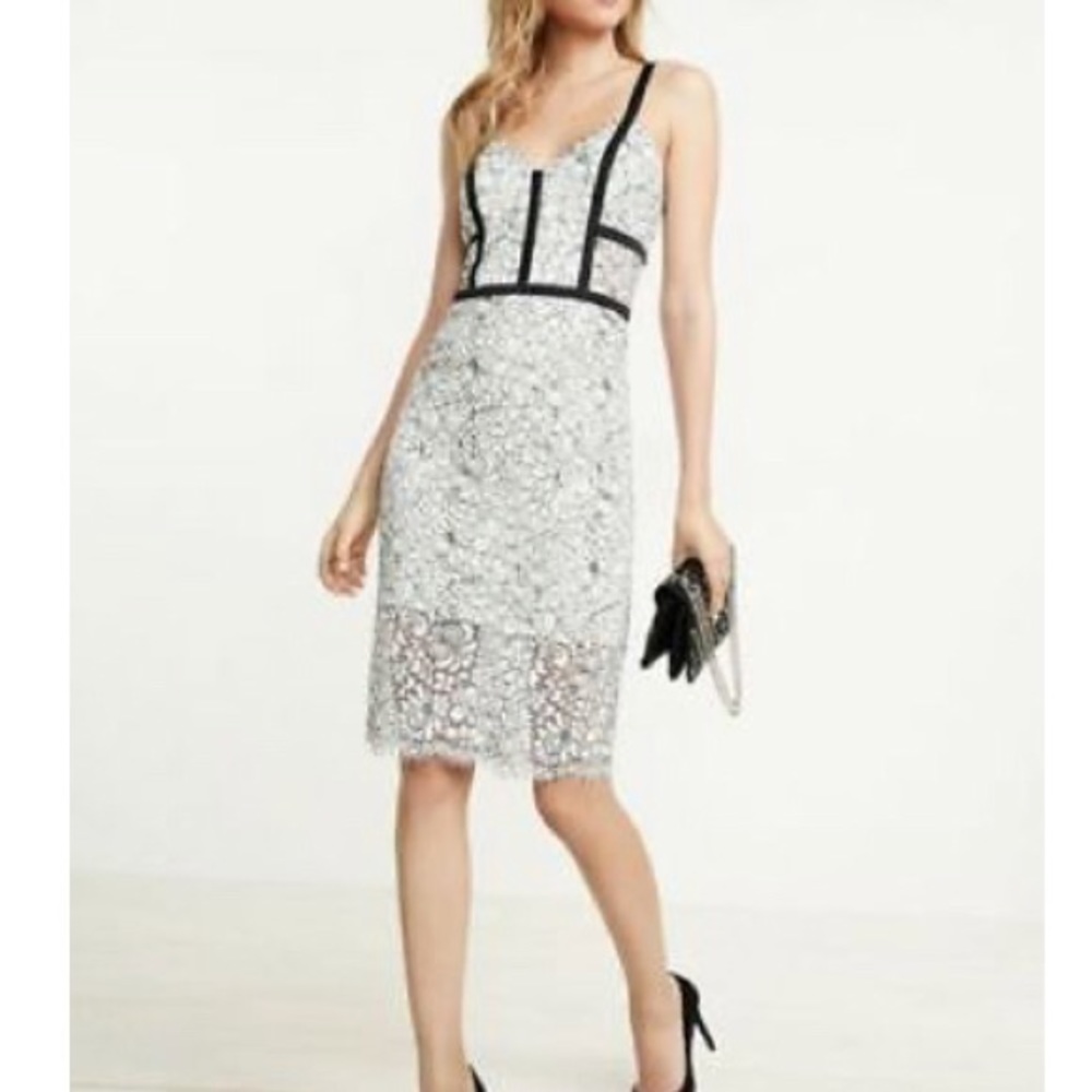 Express Lace Sheath Dress